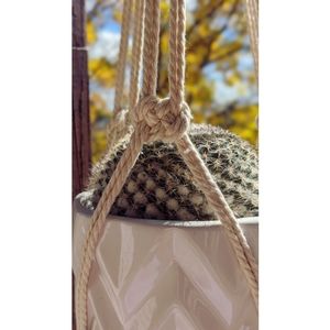 Josephine Plant Hanger